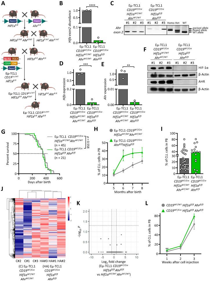 https://cdn.ncbi.nlm.nih.gov/pmc/blobs/fe55/8466120/24a5de0b8a3c/cancers-13-04518-g004.jpg