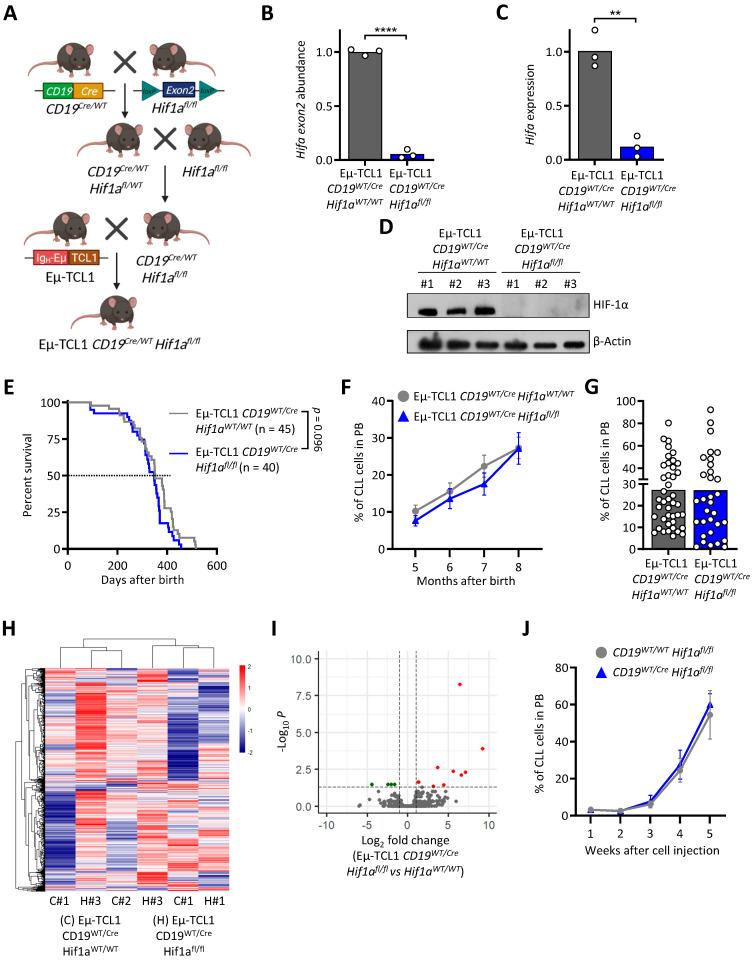 https://cdn.ncbi.nlm.nih.gov/pmc/blobs/fe55/8466120/3c8b14511639/cancers-13-04518-g002.jpg