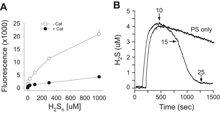 https://cdn.ncbi.nlm.nih.gov/pmc/blobs/fe5c/5350573/6681fa0aa82d/gr1.jpg