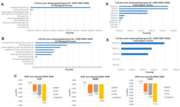 https://cdn.ncbi.nlm.nih.gov/pmc/blobs/fe64/11010819/0ba44027d88b/cancers-16-01319-g005.jpg