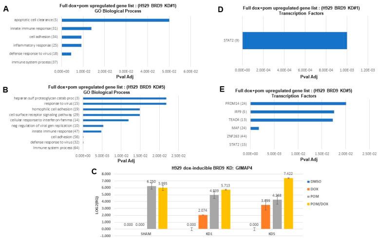 https://cdn.ncbi.nlm.nih.gov/pmc/blobs/fe64/11010819/dbdbe461c845/cancers-16-01319-g006.jpg