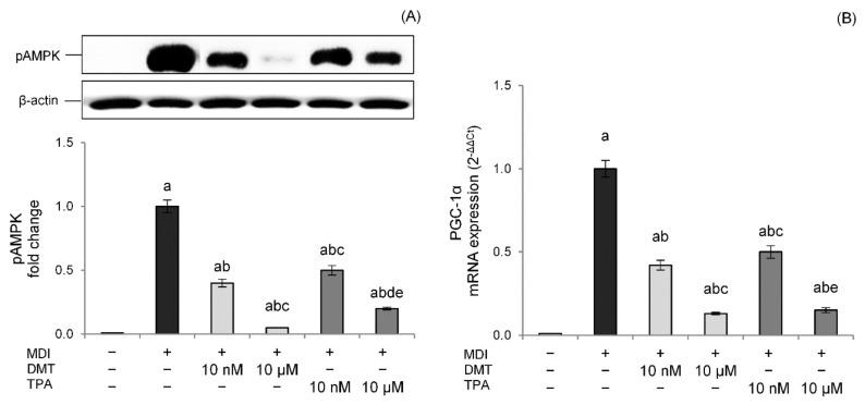 https://cdn.ncbi.nlm.nih.gov/pmc/blobs/fe6d/9656719/4456a891d9e5/molecules-27-07645-g006.jpg