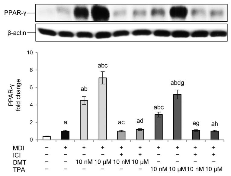 https://cdn.ncbi.nlm.nih.gov/pmc/blobs/fe6d/9656719/c58bd7b531e4/molecules-27-07645-g005.jpg