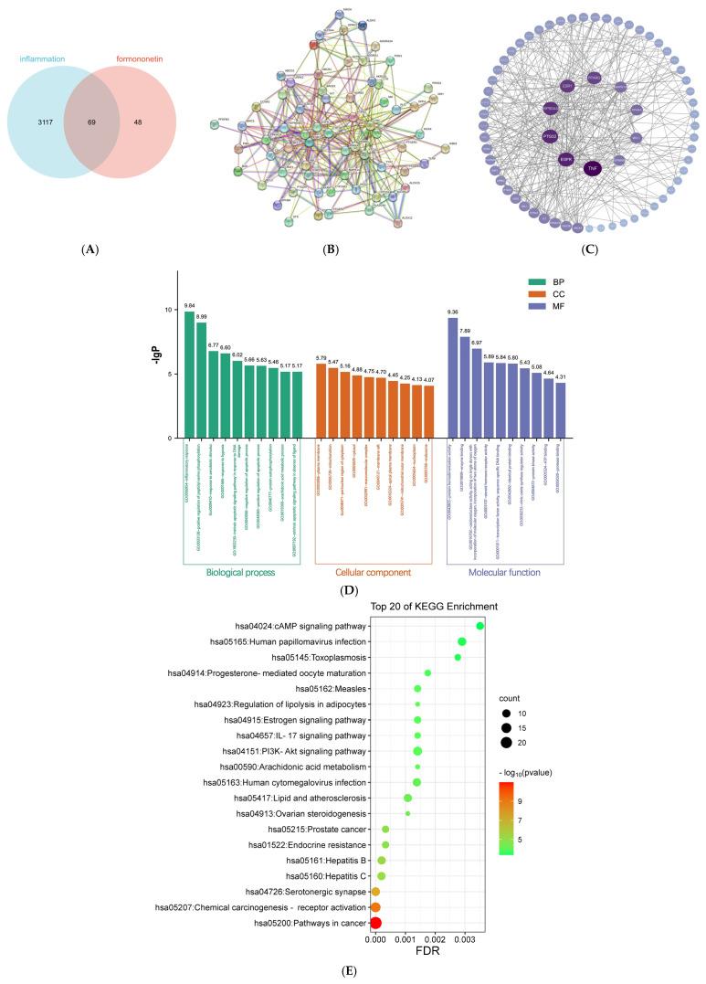 https://cdn.ncbi.nlm.nih.gov/pmc/blobs/fe76/11721999/f3fd5338590f/molecules-30-00196-g005.jpg