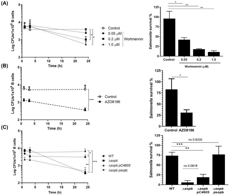 https://cdn.ncbi.nlm.nih.gov/pmc/blobs/fe77/9266210/d2ff3db000cf/cells-11-02061-g001.jpg