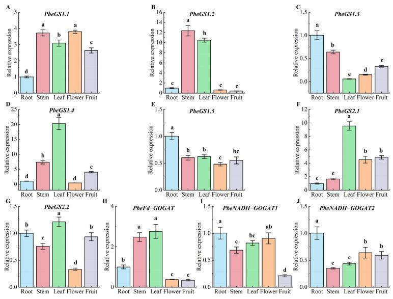 https://cdn.ncbi.nlm.nih.gov/pmc/blobs/fe8e/11479100/4416be7c8acf/plants-13-02759-g006.jpg