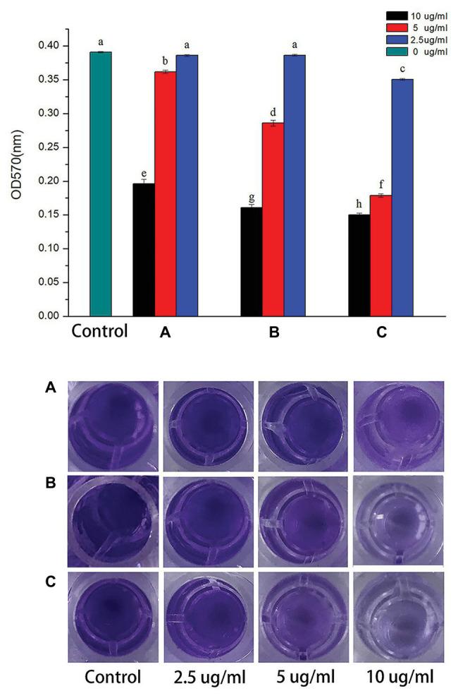https://cdn.ncbi.nlm.nih.gov/pmc/blobs/fe94/7522305/b4bc8f6c1949/fmicb-11-02110-g005.jpg