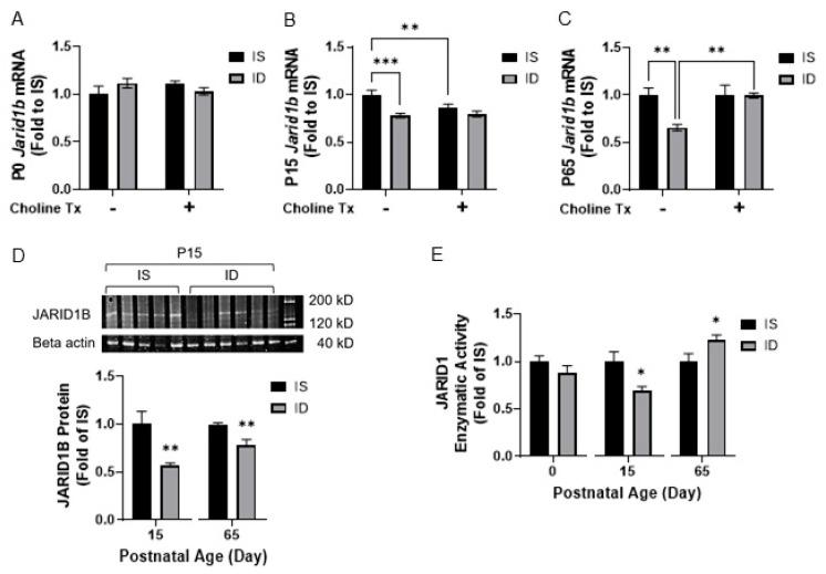 https://cdn.ncbi.nlm.nih.gov/pmc/blobs/fe99/8706459/3162b592e199/nutrients-13-04527-g002.jpg