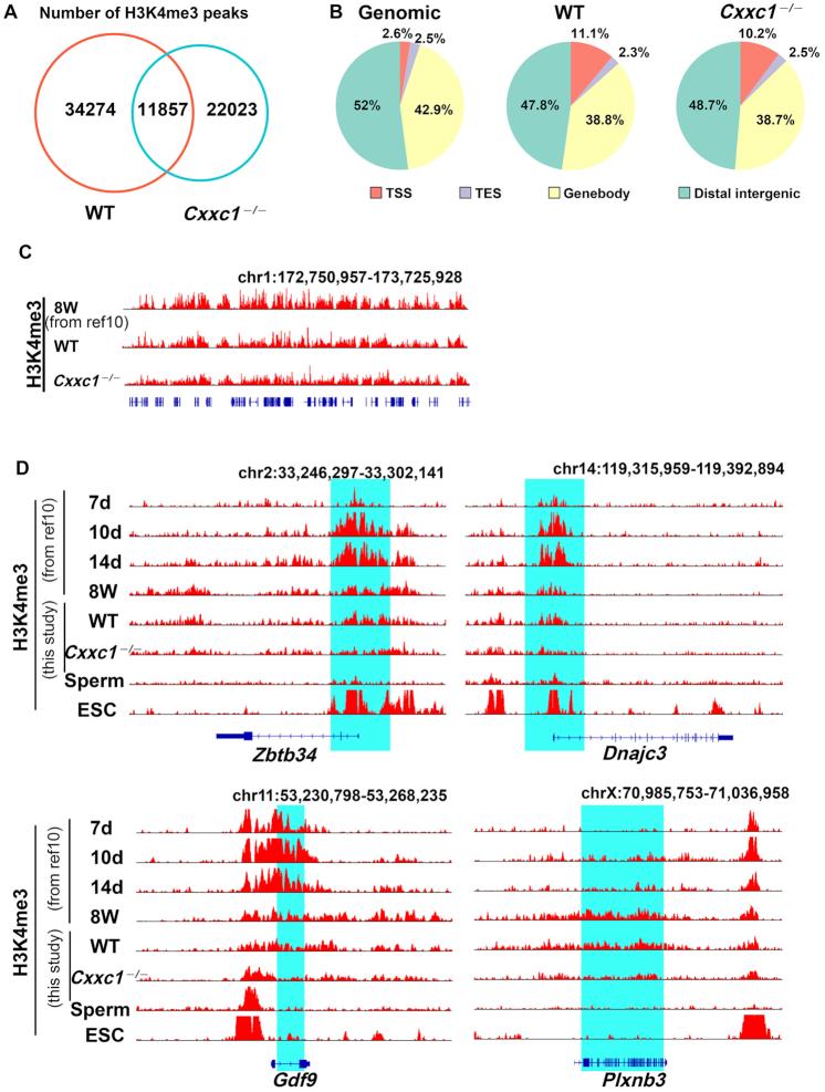 https://cdn.ncbi.nlm.nih.gov/pmc/blobs/fea8/7969028/3089e3f9a7df/gkab107fig1.jpg
