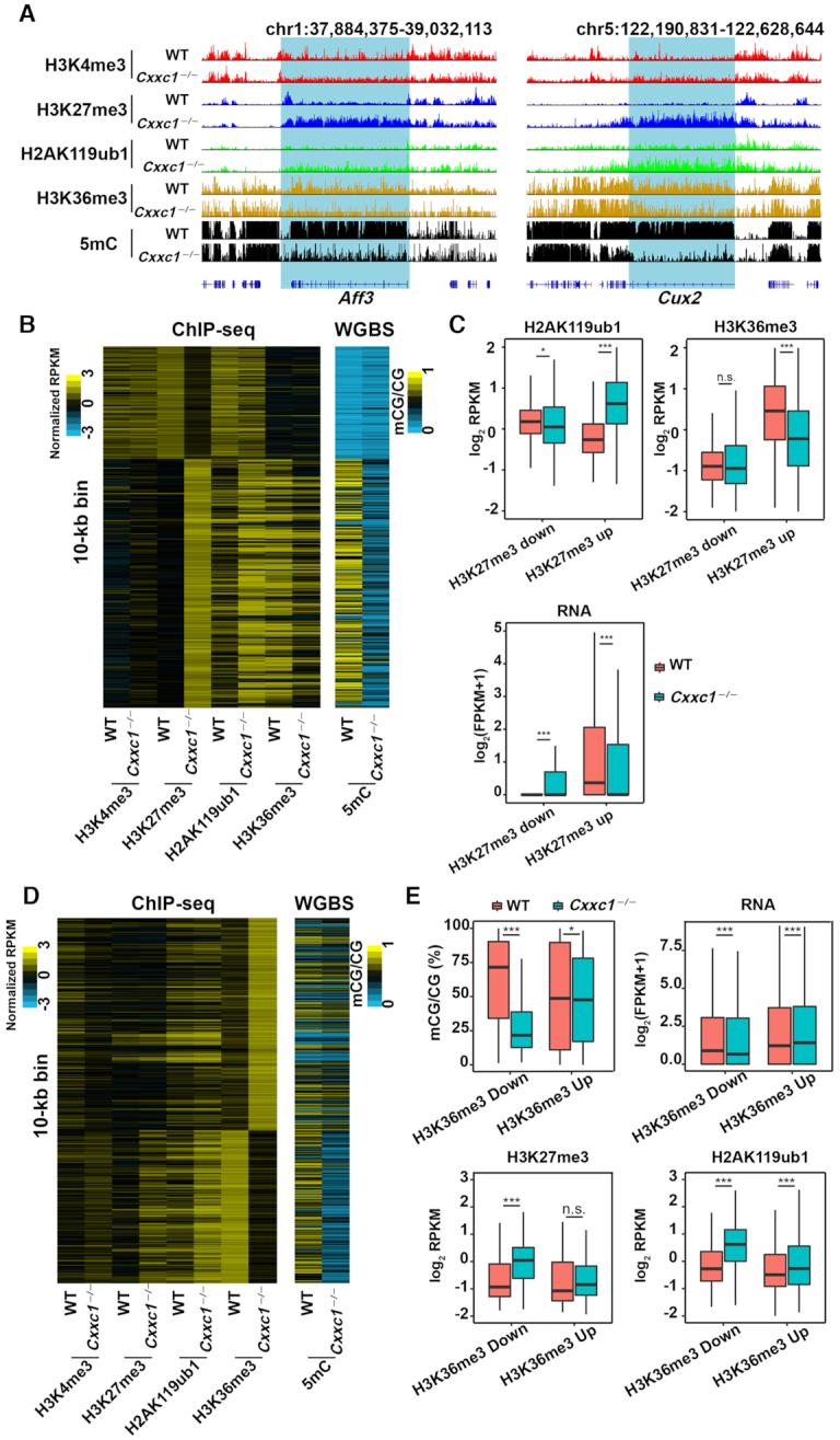 https://cdn.ncbi.nlm.nih.gov/pmc/blobs/fea8/7969028/3923518e1440/gkab107fig5.jpg