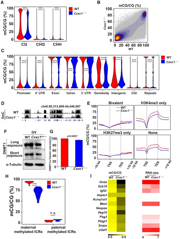 https://cdn.ncbi.nlm.nih.gov/pmc/blobs/fea8/7969028/547410d33dfb/gkab107fig3.jpg
