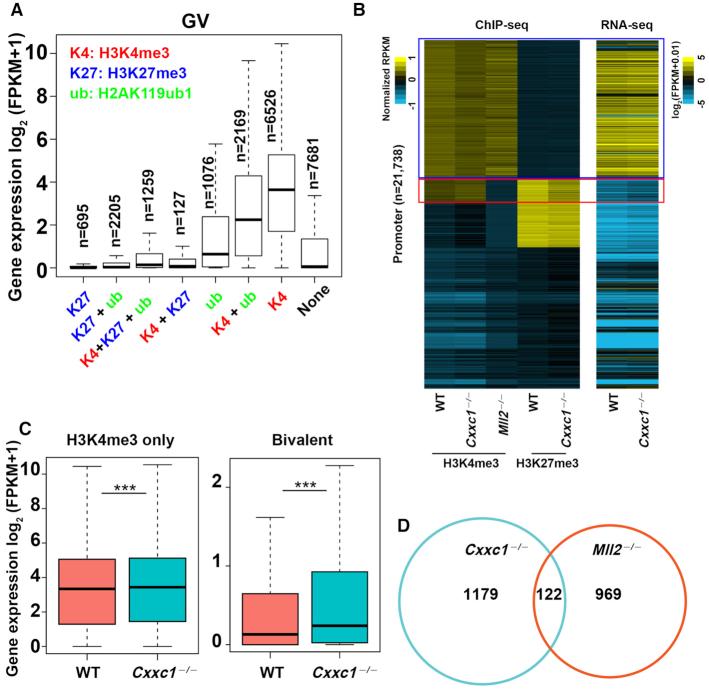 https://cdn.ncbi.nlm.nih.gov/pmc/blobs/fea8/7969028/fa54e930265a/gkab107fig2.jpg