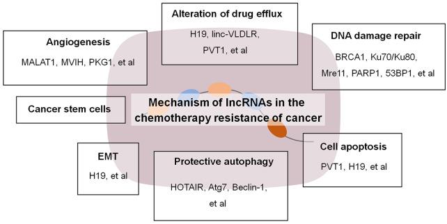 https://cdn.ncbi.nlm.nih.gov/pmc/blobs/fead/7268113/bd0317dde5ad/10.1177_1758835920927850-fig1.jpg