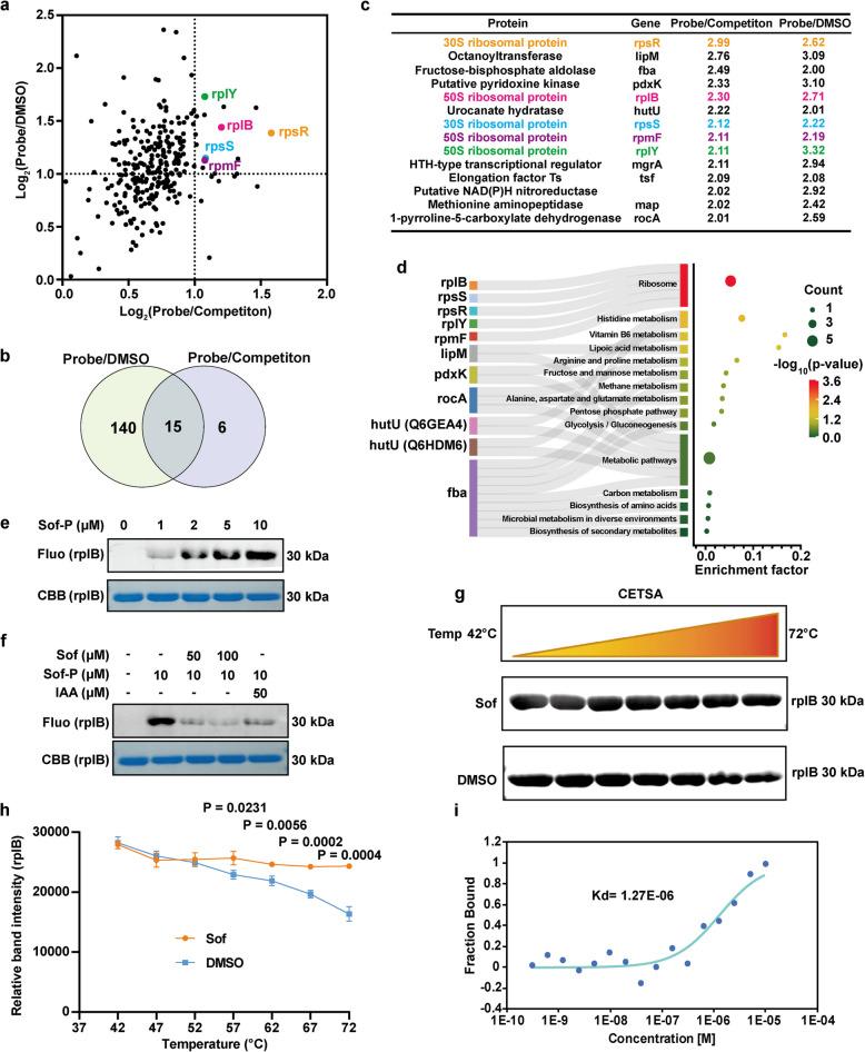 https://cdn.ncbi.nlm.nih.gov/pmc/blobs/feaf/12102032/84626a6b1601/43556_2025_269_Fig5_HTML.jpg