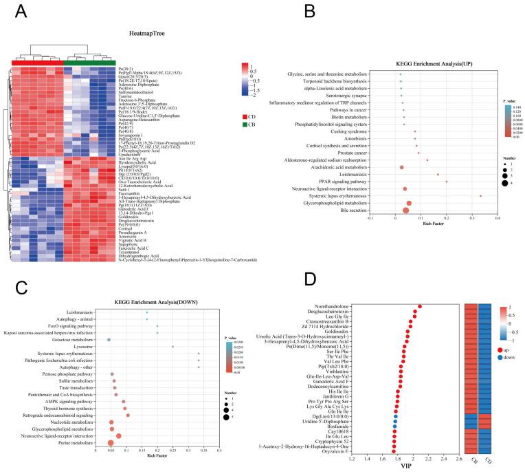 https://cdn.ncbi.nlm.nih.gov/pmc/blobs/feb2/12114546/0b208025913f/microorganisms-13-01061-g006.jpg