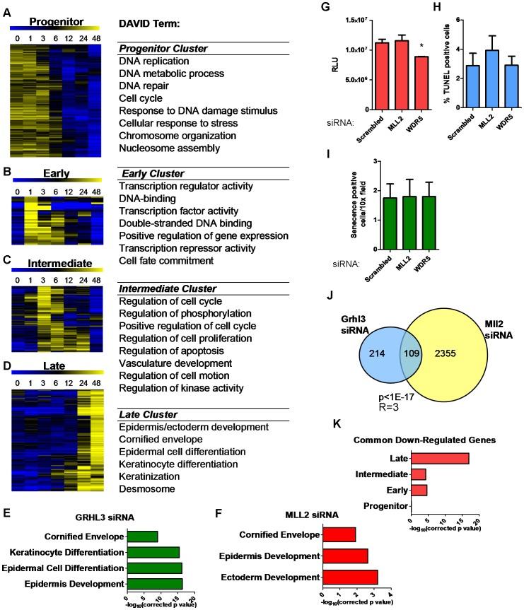 https://cdn.ncbi.nlm.nih.gov/pmc/blobs/feb3/3400561/65bf267e3675/pgen.1002829.g003.jpg