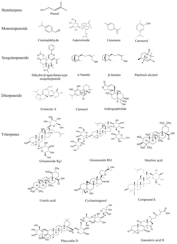 https://cdn.ncbi.nlm.nih.gov/pmc/blobs/fec3/10669485/145309c55fc3/biomolecules-13-01600-g002.jpg