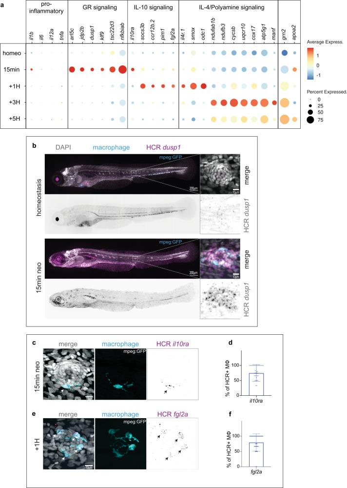 https://cdn.ncbi.nlm.nih.gov/pmc/blobs/fedb/9489698/63ee4036dcdb/41467_2022_33015_Fig3_HTML.jpg