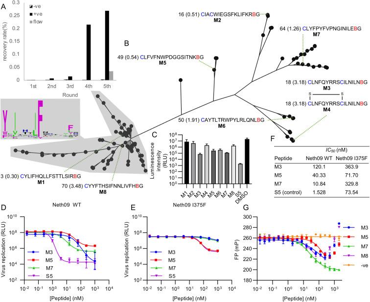 https://cdn.ncbi.nlm.nih.gov/pmc/blobs/feff/10548512/0dda7136c579/d3sc03117a-f4.jpg
