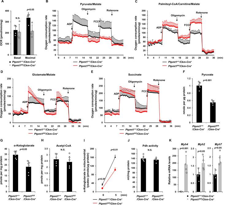https://cdn.ncbi.nlm.nih.gov/pmc/blobs/ff23/10482430/18f9e6126c21/elife-86944-fig3.jpg