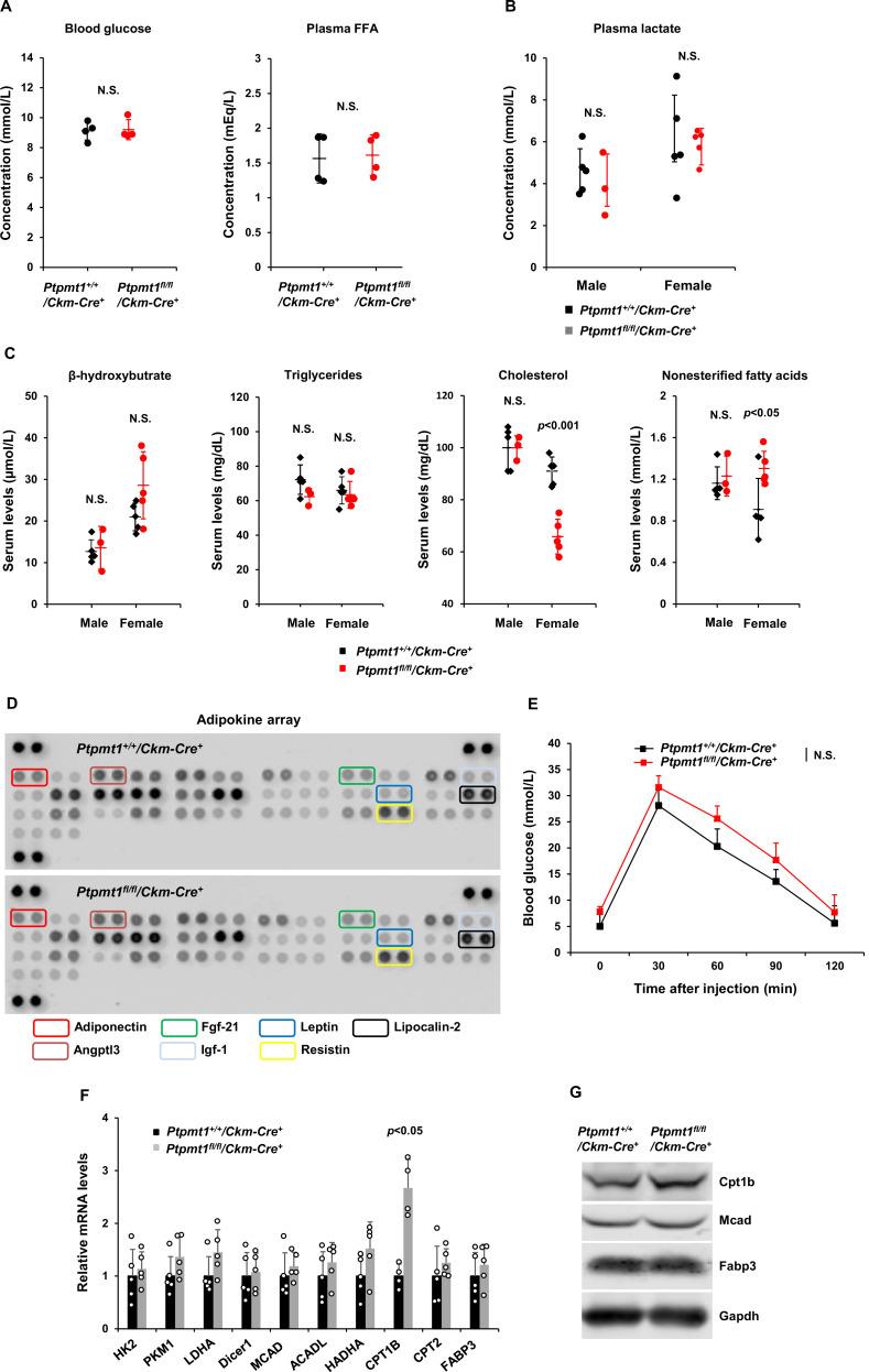 https://cdn.ncbi.nlm.nih.gov/pmc/blobs/ff23/10482430/5823b181ca7a/elife-86944-fig1-figsupp2.jpg
