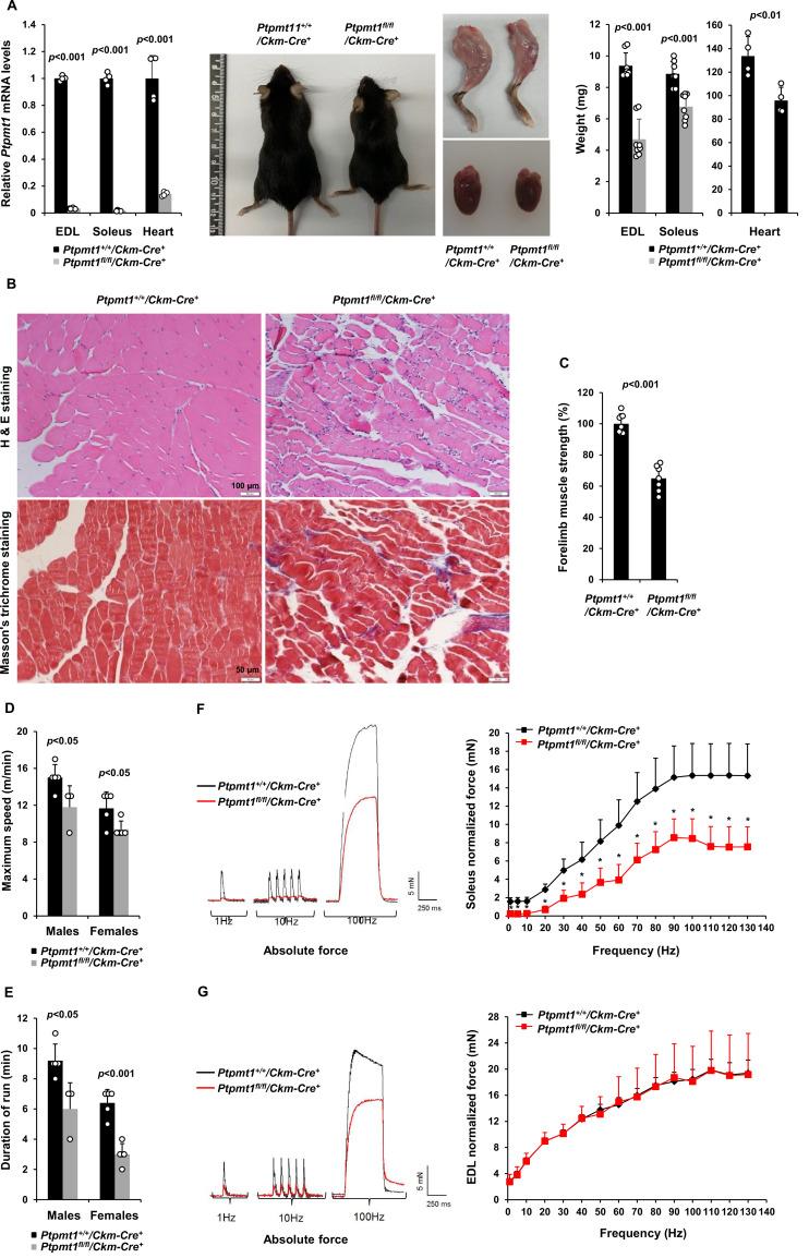 https://cdn.ncbi.nlm.nih.gov/pmc/blobs/ff23/10482430/e90beae2a8d4/elife-86944-fig1.jpg