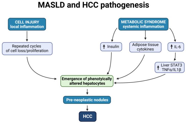 https://cdn.ncbi.nlm.nih.gov/pmc/blobs/ff27/11505995/cb6cfa2b9973/cancers-16-03481-g001.jpg