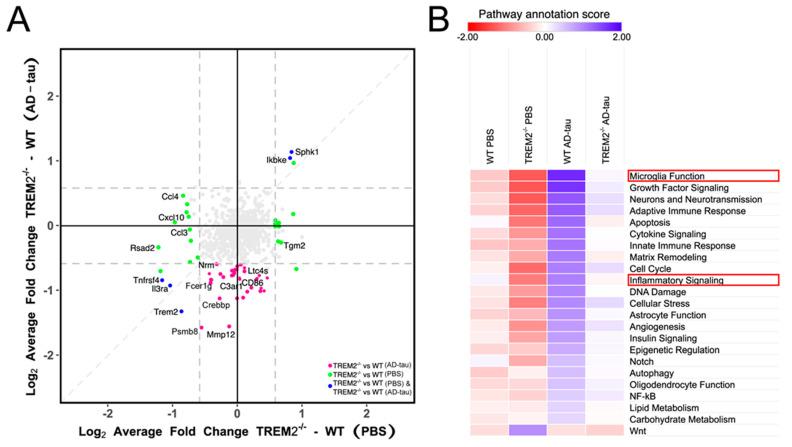 https://cdn.ncbi.nlm.nih.gov/pmc/blobs/ff39/10296847/bdb0e7d19f40/cells-12-01597-g005.jpg