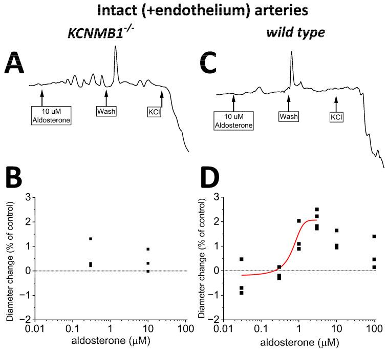 https://cdn.ncbi.nlm.nih.gov/pmc/blobs/ff41/10218309/d7b1e54c5b87/ijms-24-08704-g005.jpg