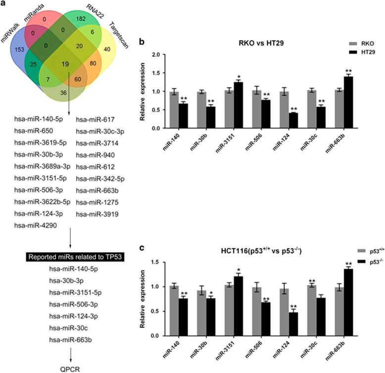 https://cdn.ncbi.nlm.nih.gov/pmc/blobs/ff4b/5682646/b73ded4424f7/cddis2017477f2.jpg