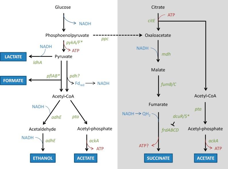 https://cdn.ncbi.nlm.nih.gov/pmc/blobs/ff4e/5419217/6fe3ecd79f6b/peerj-05-3244-g006.jpg