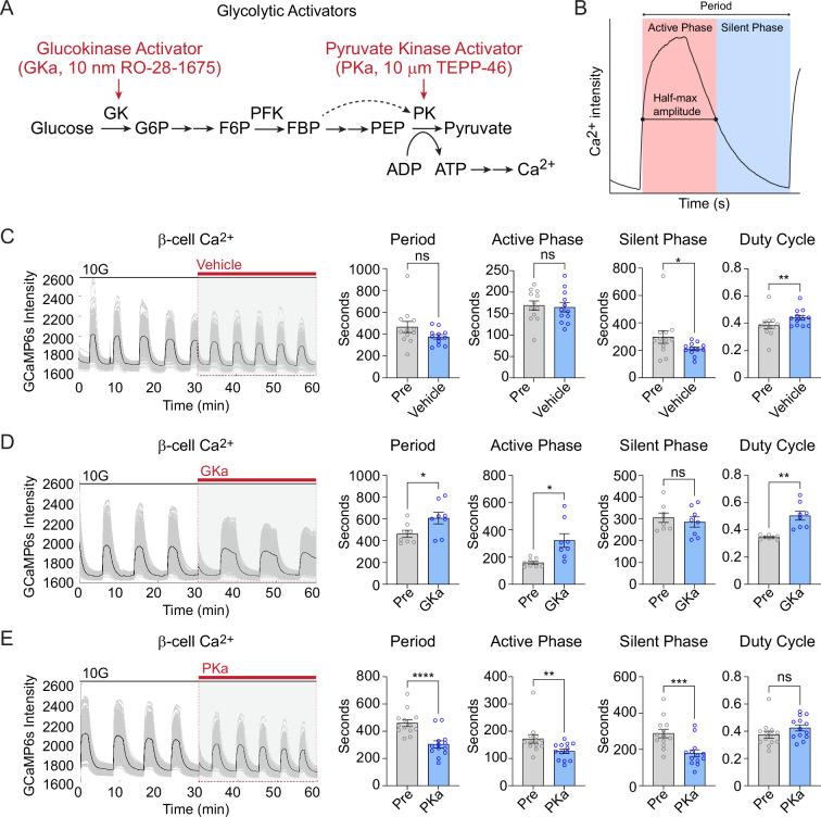 https://cdn.ncbi.nlm.nih.gov/pmc/blobs/ff58/11820133/42b362e29ad5/elife-103068-fig6.jpg