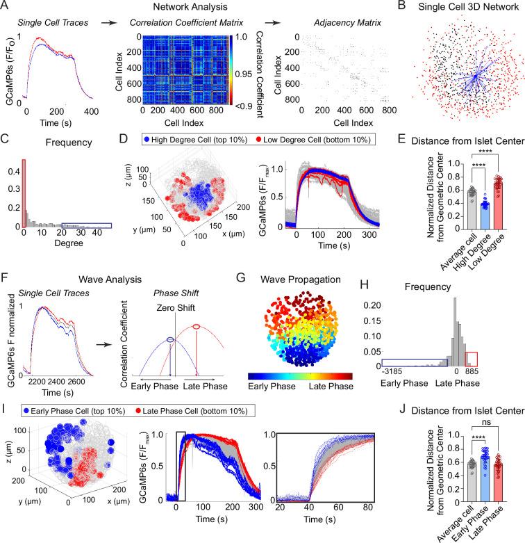 https://cdn.ncbi.nlm.nih.gov/pmc/blobs/ff58/11820133/a77ae5e7e151/elife-103068-fig2.jpg