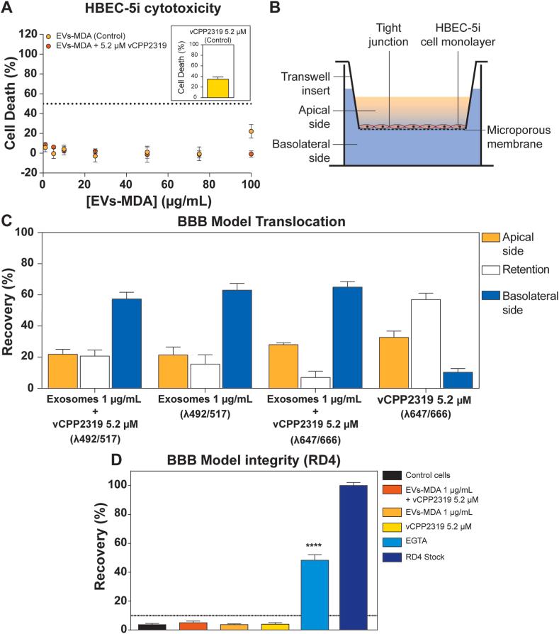 https://cdn.ncbi.nlm.nih.gov/pmc/blobs/ff63/11664409/e82a037f42af/gr5.jpg