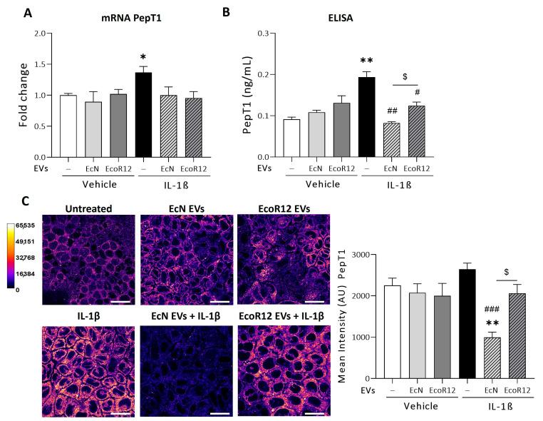https://cdn.ncbi.nlm.nih.gov/pmc/blobs/ff79/11356789/a084d9c7c83b/nutrients-16-02719-g001.jpg