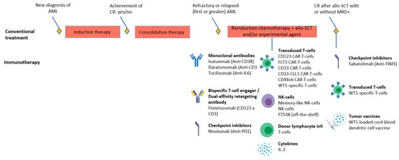 https://cdn.ncbi.nlm.nih.gov/pmc/blobs/ff86/8431730/62be98ad90f2/cancers-13-04364-g002.jpg
