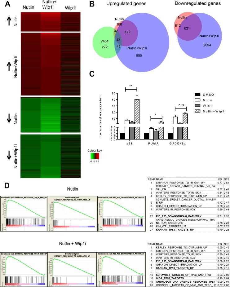 https://cdn.ncbi.nlm.nih.gov/pmc/blobs/ff95/5077964/5b052b5e8c61/oncotarget-07-31623-g004.jpg