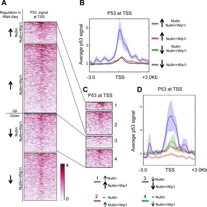 https://cdn.ncbi.nlm.nih.gov/pmc/blobs/ff95/5077964/6437f6e99ce4/oncotarget-07-31623-g005.jpg