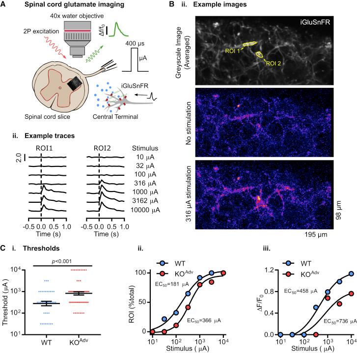 https://cdn.ncbi.nlm.nih.gov/pmc/blobs/ffaa/8110947/ac8d4530e210/gr4.jpg