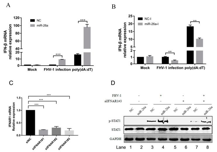 https://cdn.ncbi.nlm.nih.gov/pmc/blobs/ffae/7020096/10200cd03e38/viruses-12-00002-g006.jpg