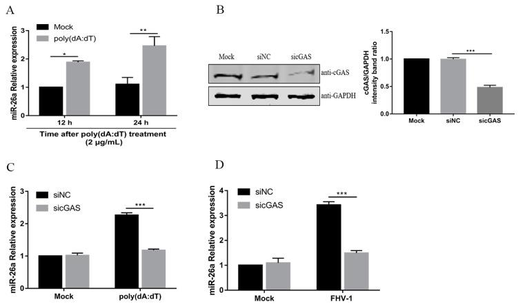 https://cdn.ncbi.nlm.nih.gov/pmc/blobs/ffae/7020096/2ff6ba0a8ac0/viruses-12-00002-g002.jpg