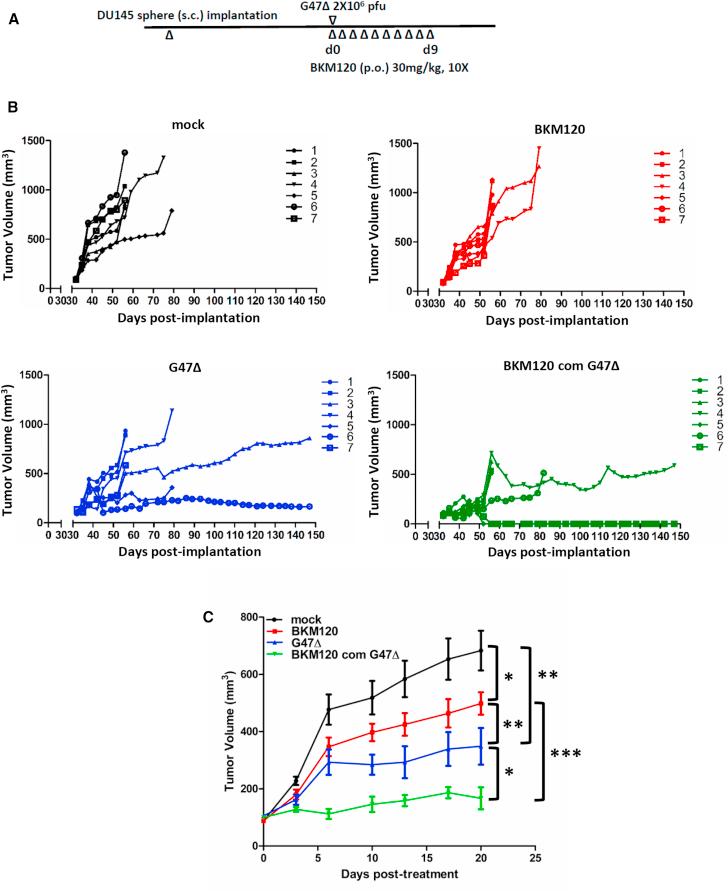 https://cdn.ncbi.nlm.nih.gov/pmc/blobs/ffc1/6468160/8c68bd3cf9be/gr5.jpg