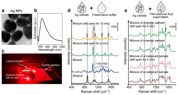 https://cdn.ncbi.nlm.nih.gov/pmc/blobs/ffc6/11352209/fbba6a69b3f0/biosensors-14-00372-g004.jpg