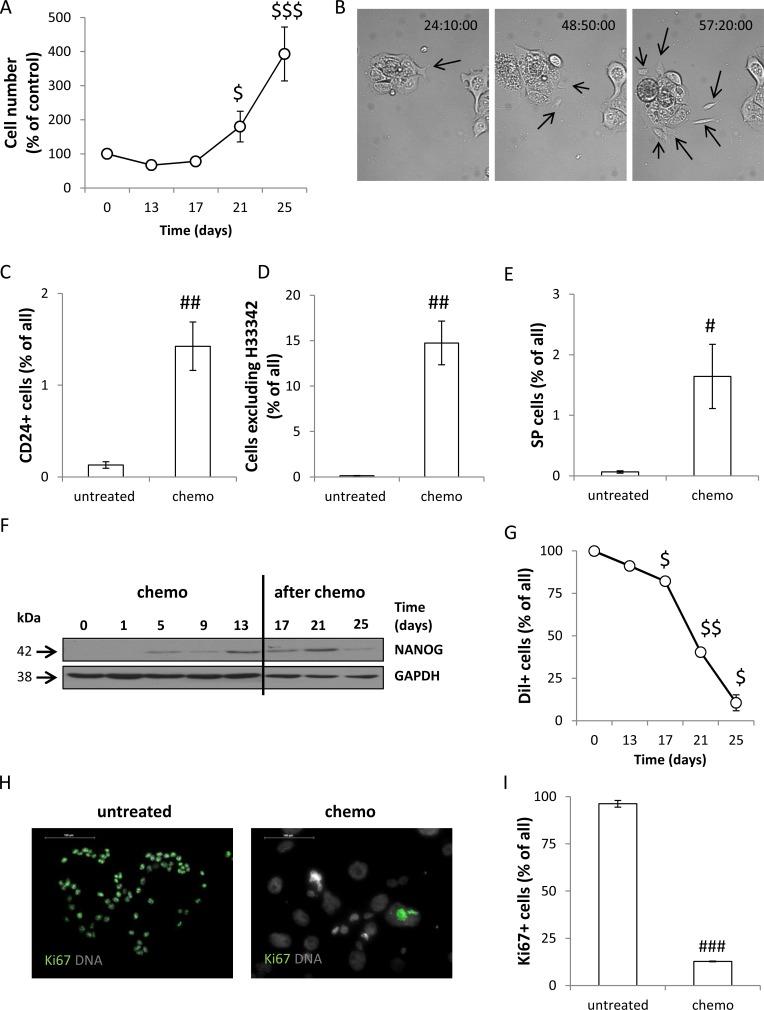 https://cdn.ncbi.nlm.nih.gov/pmc/blobs/ffd9/5354733/156b8e6f42da/oncotarget-08-9303-g002.jpg