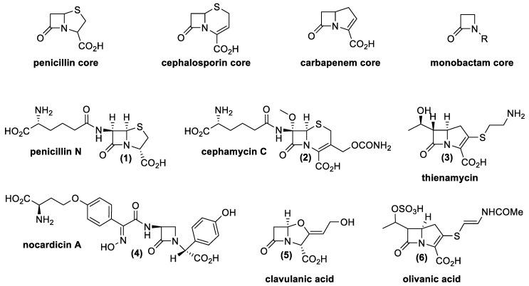 https://cdn.ncbi.nlm.nih.gov/pmc/blobs/ffdc/8143475/24724171ddb8/antibiotics-10-00483-g004.jpg