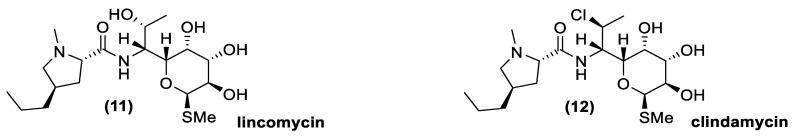 https://cdn.ncbi.nlm.nih.gov/pmc/blobs/ffdc/8143475/8e3655029511/antibiotics-10-00483-g007.jpg